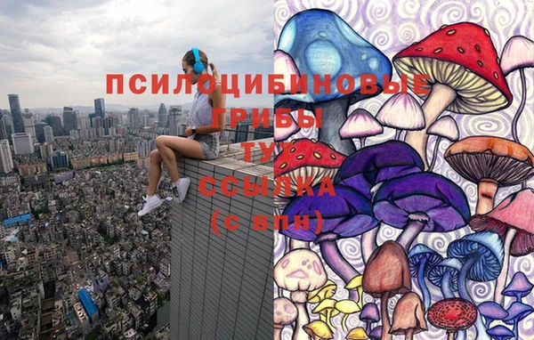 индика Балабаново