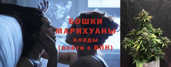 индика Балабаново