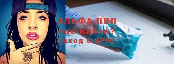 индика Балабаново