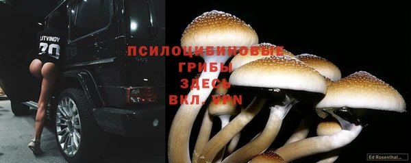гидропоника Балахна